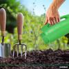 imageIce Melt Salt Spreader Handheld Shaker for Lawn Seed Salt Ice Melt Deicer Shaker 2 Liter Adjustable Hole Size Handy for Lawn Seed Salt To DeiceGreen 2Pack