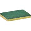 imageNonScratch Cellulose Sponge Kitchen Scrub Sponge with Scouring Pad Set Good for NonStick Cookware Frying Pan Pot Counter Top Sink Scrubbing Kitchen Scrubbers Pack of 1 RedPinkLarge Green
