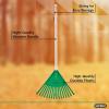 imageOrange Kids Size Rake Kids Rake for Lawn with Hardwood Handle Durable Plastic Head to Sweep Leaves on Lawn and Tidying Up The Garden 34quot by SuperioGreen
