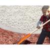imageOrange Kids Size Rake Kids Rake for Lawn with Hardwood Handle Durable Plastic Head to Sweep Leaves on Lawn and Tidying Up The Garden 34quot by SuperioOrange
