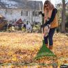 imageSuperio Adult Rake with Hardwood Handle Durable Plastic Head to Sweep Leaves in Lawn and Tidying Up The Garden 61quot 2PackGreen 2Pack