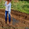 imageSuperio Adult Rake with Hardwood Handle Durable Plastic Head to Sweep Leaves in Lawn and Tidying Up The Garden 61quot 2PackGrey