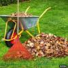 imageSuperio Adult Rake with Hardwood Handle Durable Plastic Head to Sweep Leaves in Lawn and Tidying Up The Garden 61quot 2PackOrange 2Pack