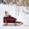 imageSuperio Children Wooden Sled Snow Sled for Toddlers Kids Sleigh with Pull Ropes and Cushion Baby SledSled with Red Cushion