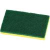 imageNonScratch Cellulose Sponge Kitchen Scrub Sponge with Scouring Pad Set Good for NonStick Cookware Frying Pan Pot Counter Top Sink Scrubbing Kitchen Scrubbers Pack of 1 RedPinkLarge Green