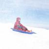 image:imageSuperio Toboggan Snow Sleds for Kids and Adults 3648 Heavy Duty Plastic Sliders with Handles and Hole for Pull Ropes Kid and Adult Winter Fun48