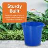 image:imageSuperio 4Pack Plastic Cleaning Bucket for Home 2 Gallon Pail for Mopping with Large Spout  Bucket for Floor Mopping Car Wash  Bowls for Camping FishingBlue